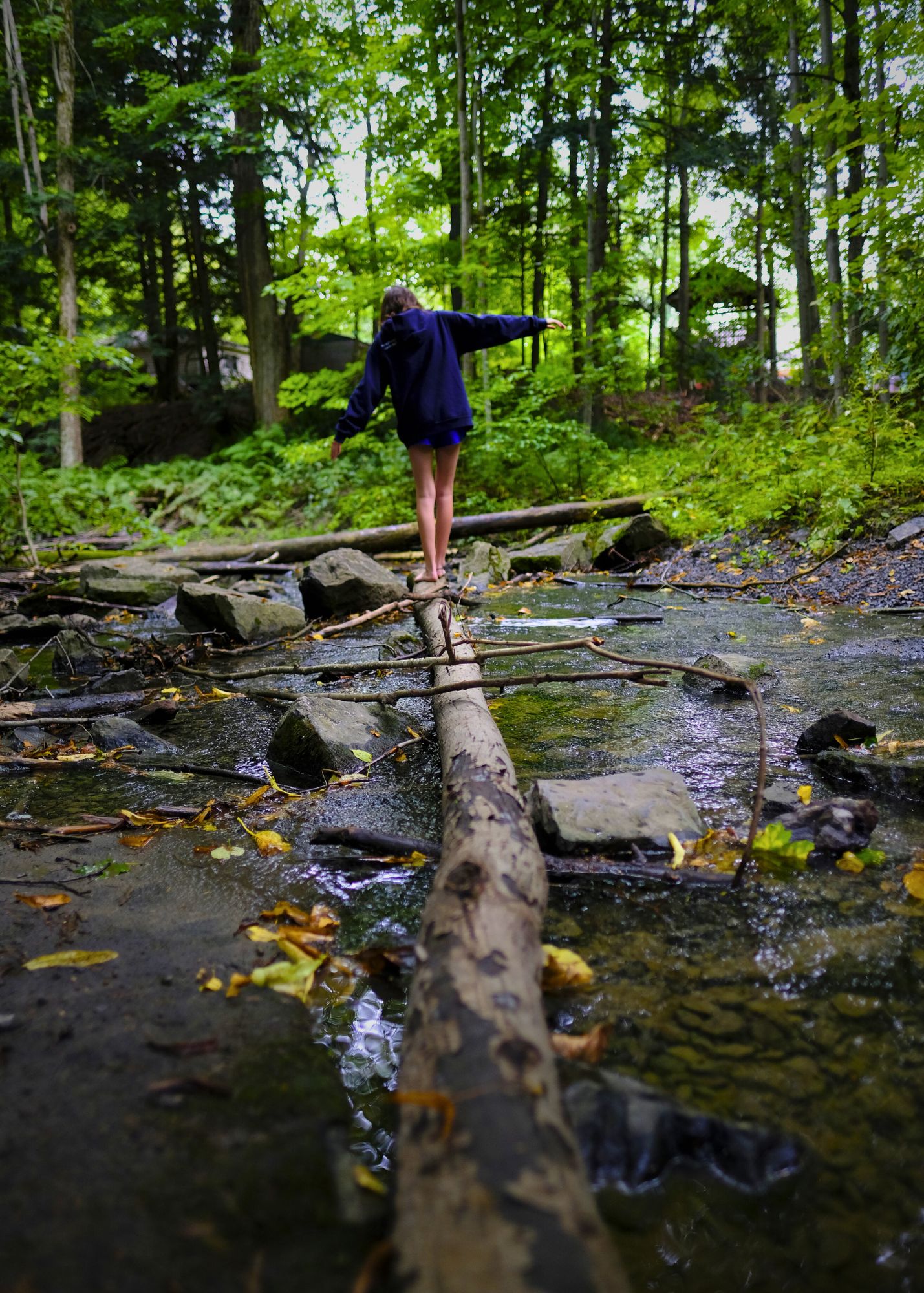 Child balancing on a log