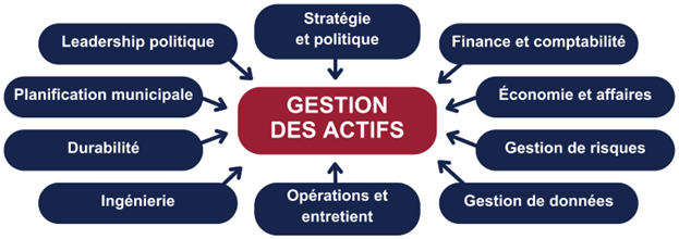 Infographe démontrant que stratégie et politique, finance et comptabilité, économie et affaires, gestion de risques, gestion de données, opérations et entretien, ingénierie, durabilité, planification municipale et leadership politique se rapportent tous à la gestion des actifs.