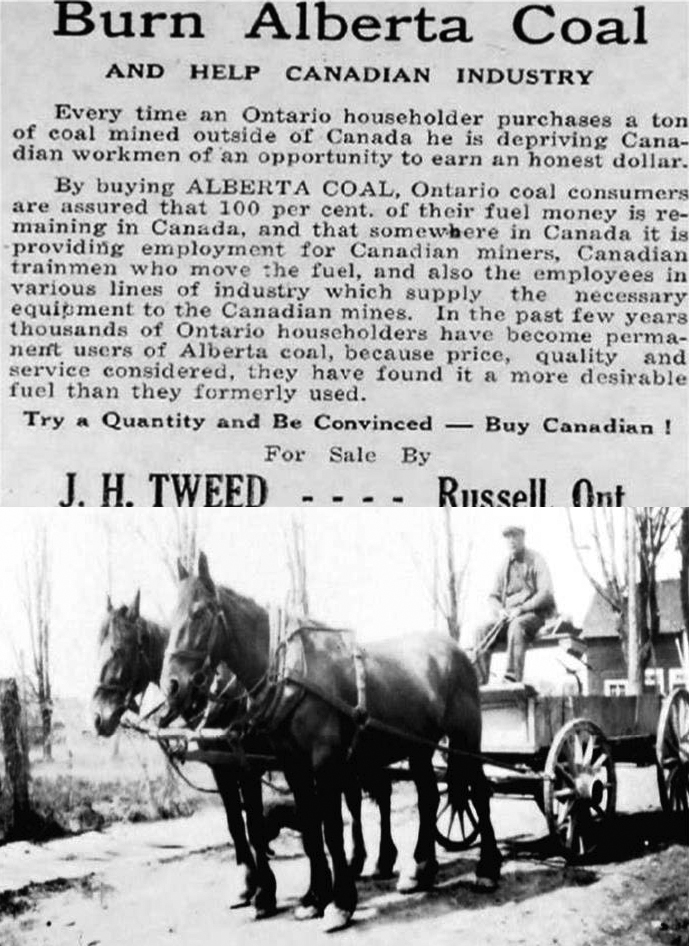 John Loucks assis dans un wagon tiré par deux chevaux pour livrer du charbon depuis la gare de triage et un article de journal pour promouvoir le charbon d’Alberta