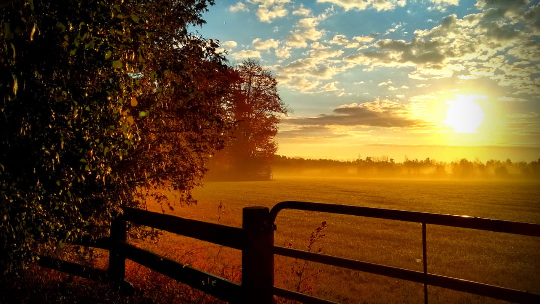 Sunset over a field