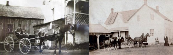 Maisons de Robert Young et John Borland