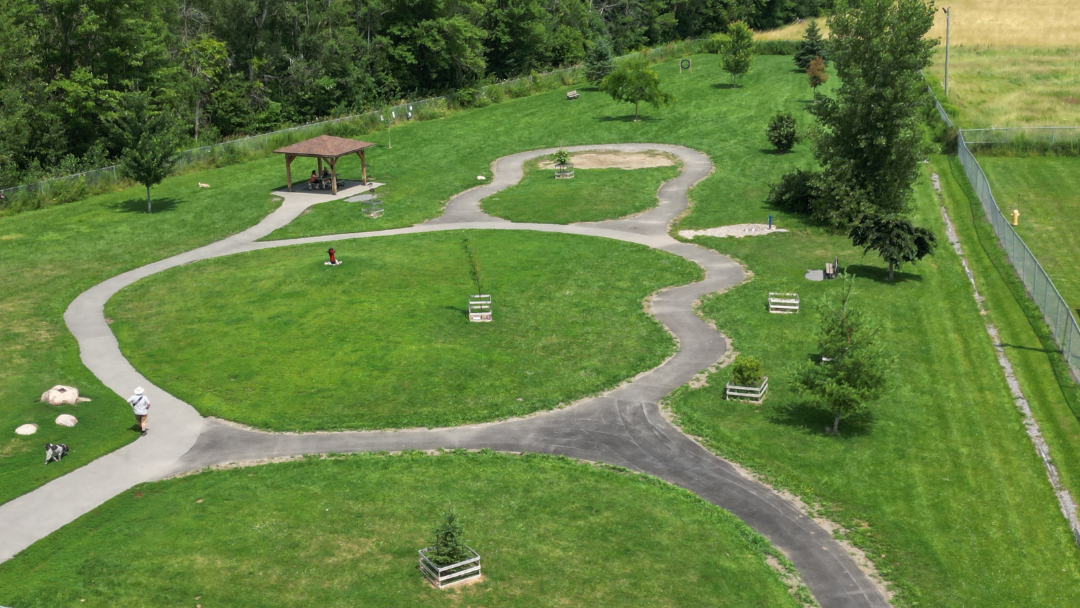 Vue du parc canin